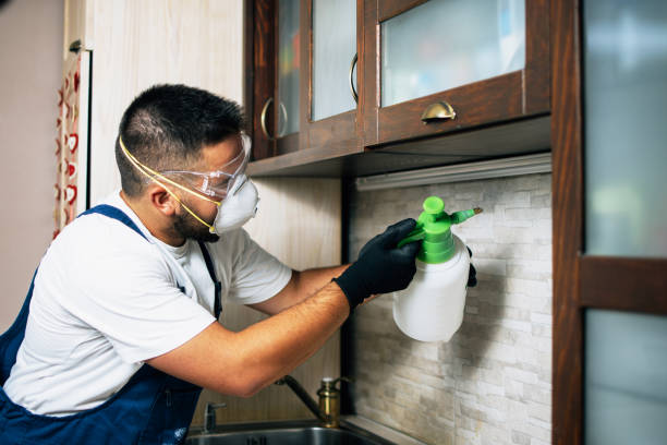 Best Rat Extermination Near Me  in Red Springs, NC
