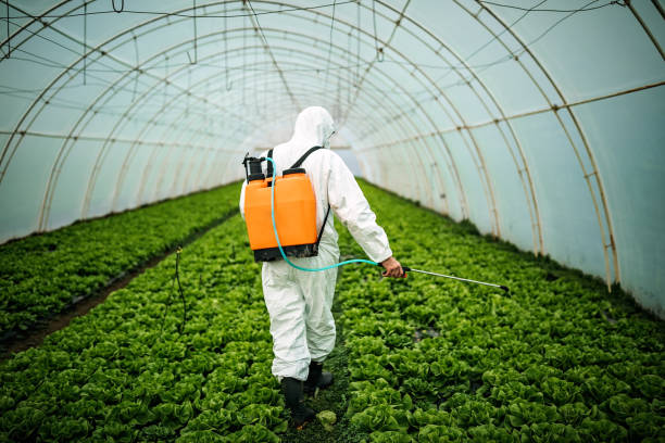 Best Affordable Pest Control Services  in Red Springs, NC