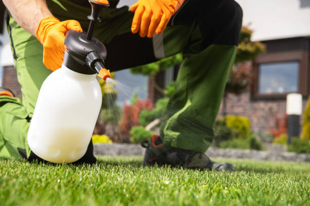 Best Emergency Pest Control  in Red Springs, NC