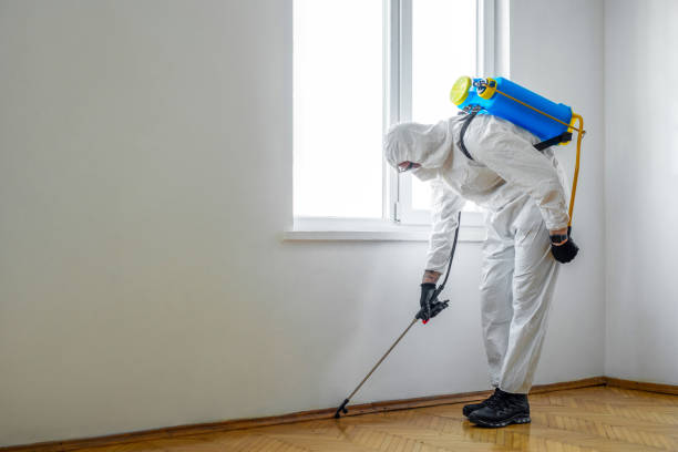 Best Pest Removal Services  in Red Springs, NC