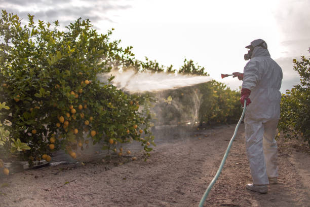 Best Best Pest Control Companies  in Red Springs, NC