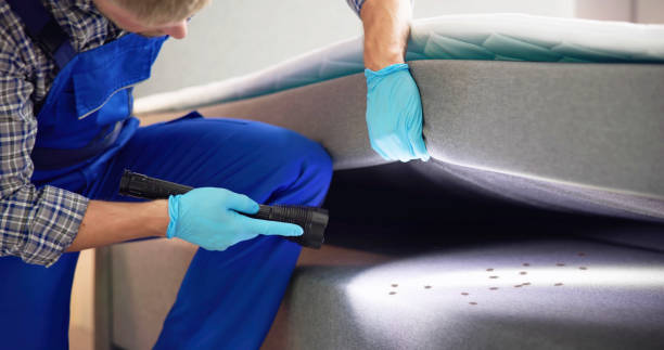 Best Local Pest Control Services  in Red Springs, NC