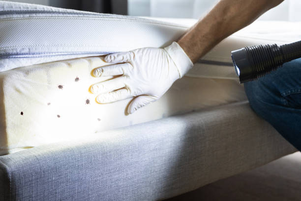 Best Pest Prevention Services  in Red Springs, NC