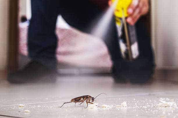 Best Bed Bug Extermination  in Red Springs, NC
