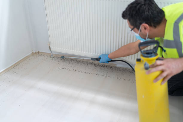 Best Residential Pest Control  in Red Springs, NC