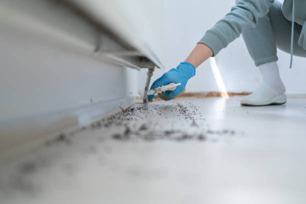 Professional Pest Control in Red Springs, NC